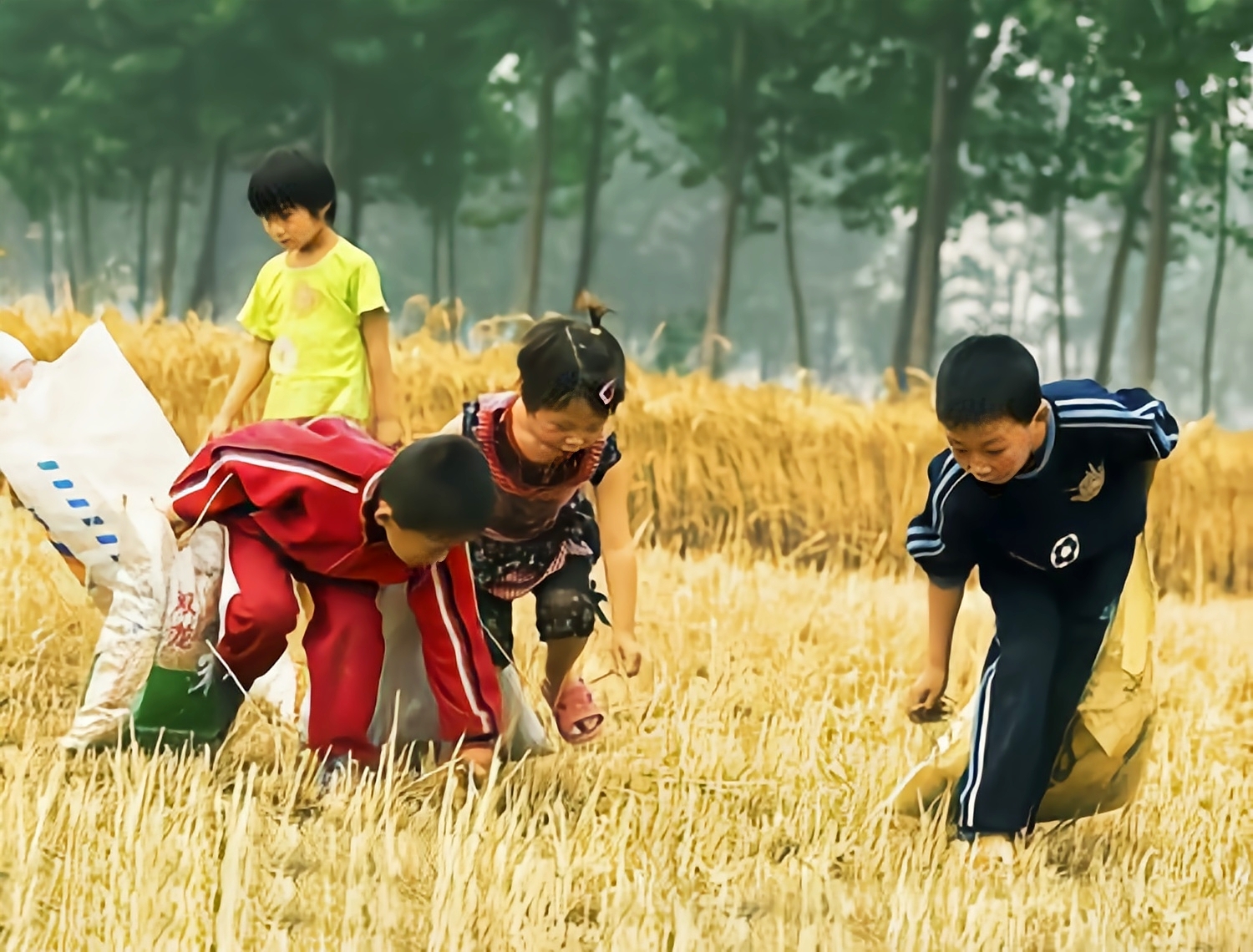 80后的我们都已经三十而立,回忆童年许多感慨