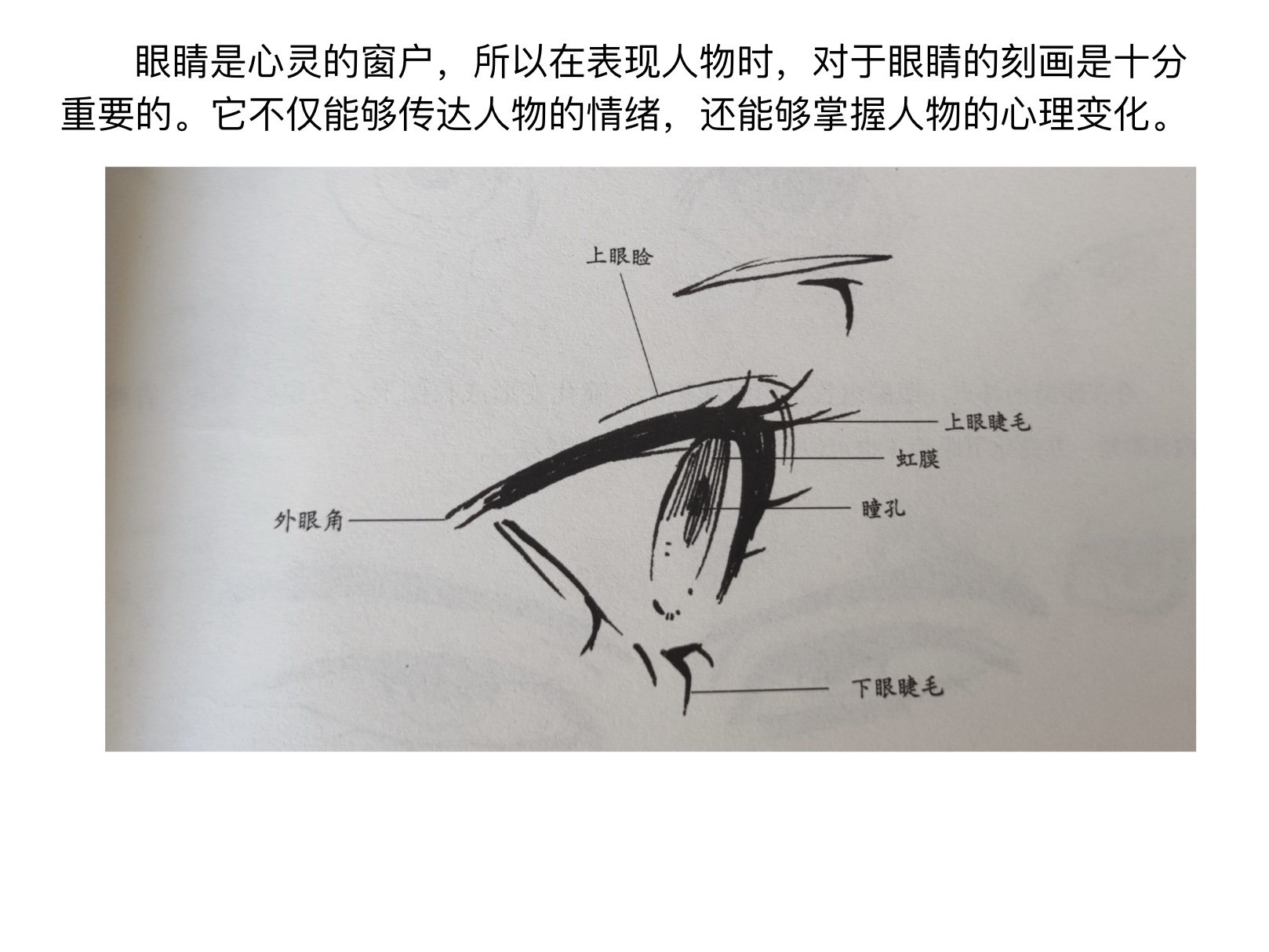 眼睛灰线位置 图图片