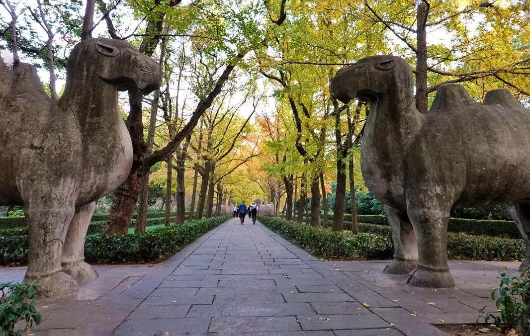 欢迎来到南京,今天咱们要深度游览的可是大名鼎鼎的明孝陵,这可是