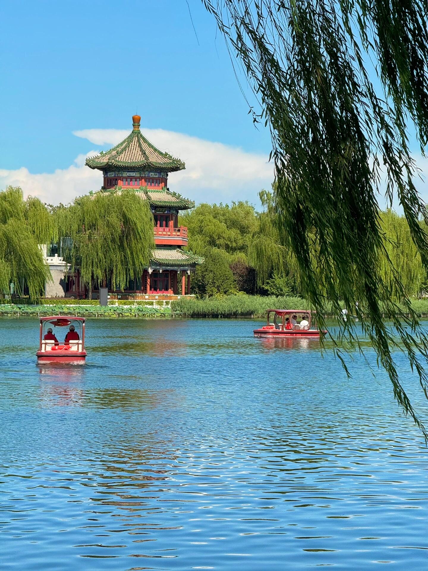 入秋的北京,确实如同踏入了一个梦幻般的动漫世界,让人心旷神怡,流连