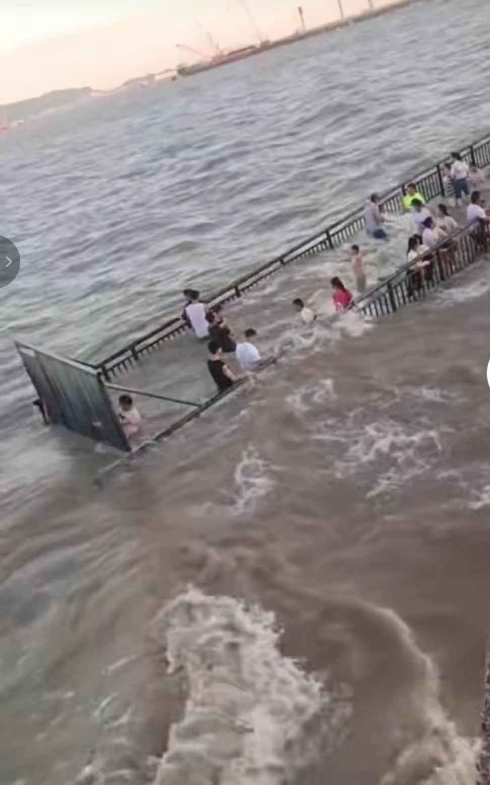 海盐观海园,这样的景区你会去吗?