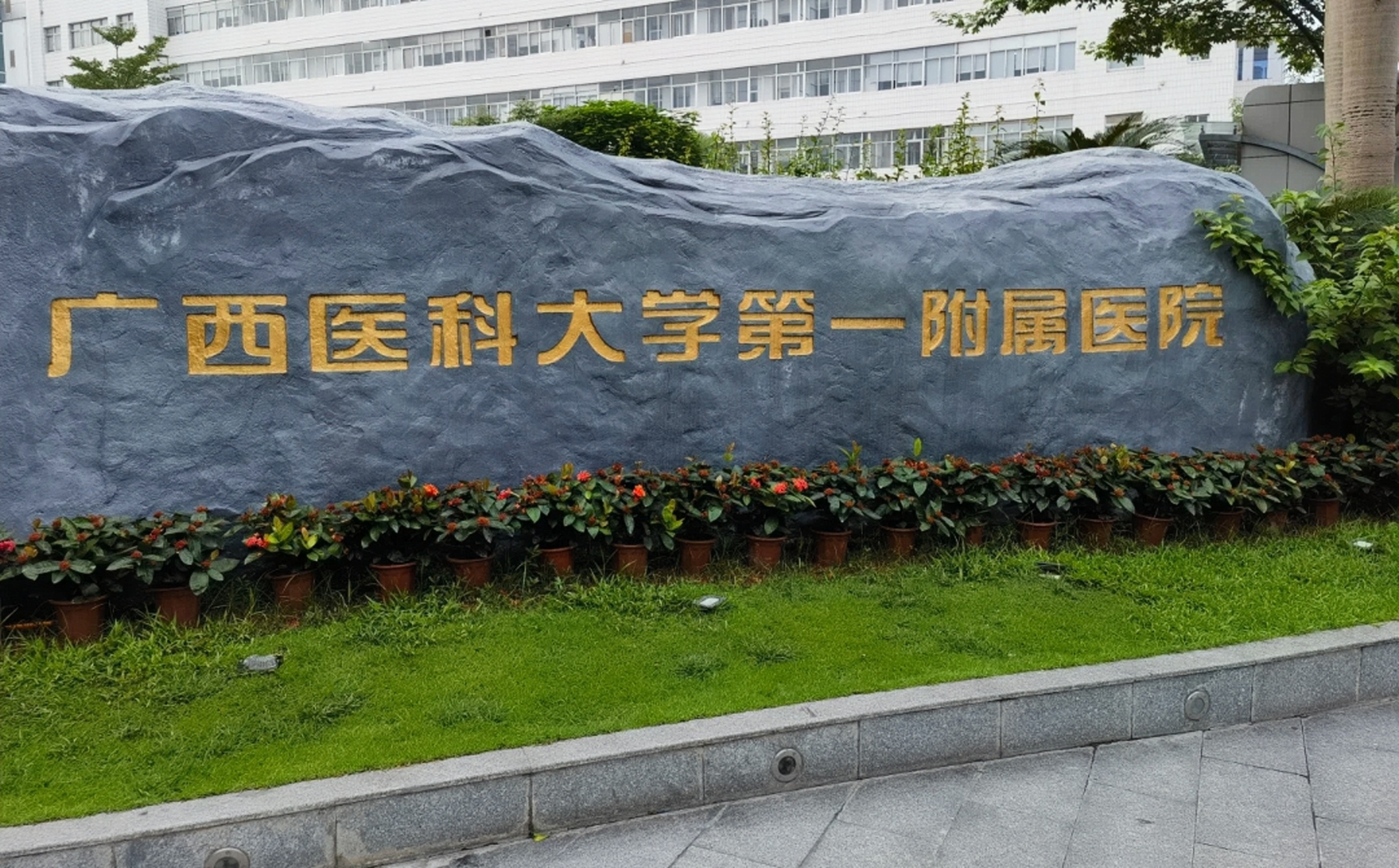 广西医科大学附属肿瘤医院（广西肿瘤防治研究所）代挂号口碑高效率快的简单介绍