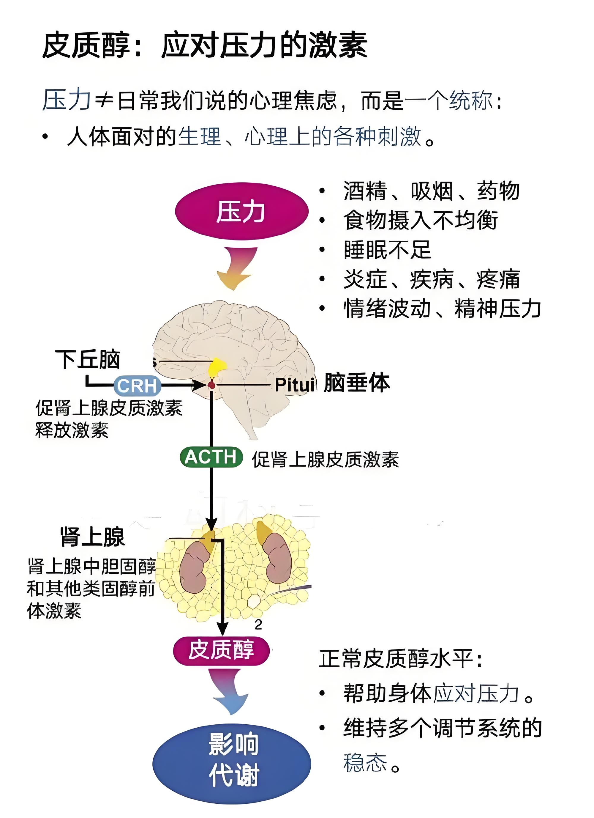 皮质醇高的症状图片图片