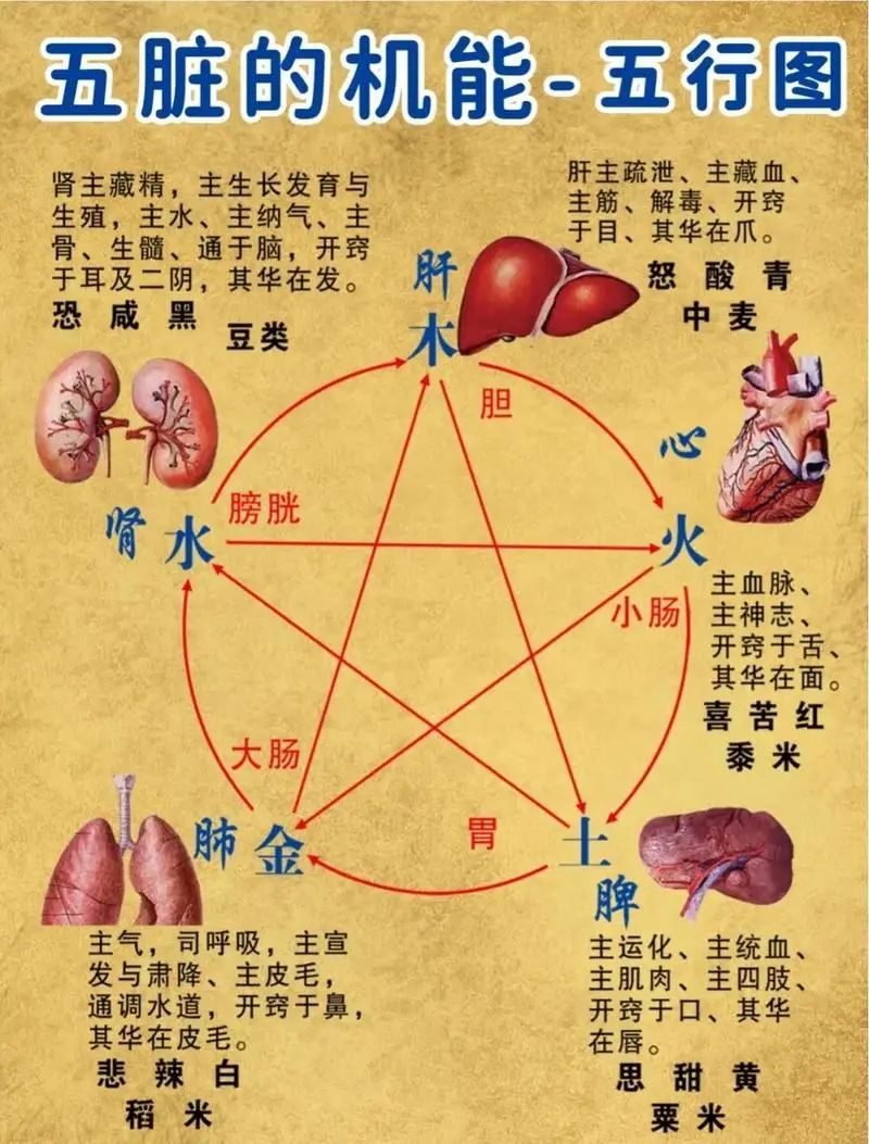 肝气郁结的症状及治疗图片