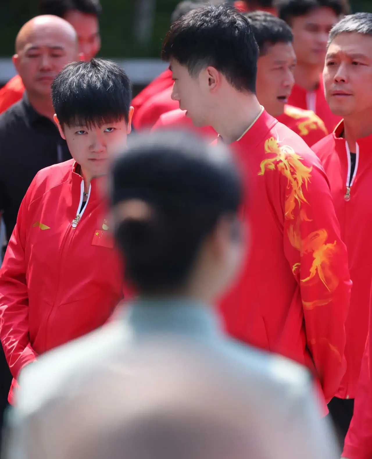 或许龙队在和她分享昨天在公园与乒乓球爱好者互动的趣事