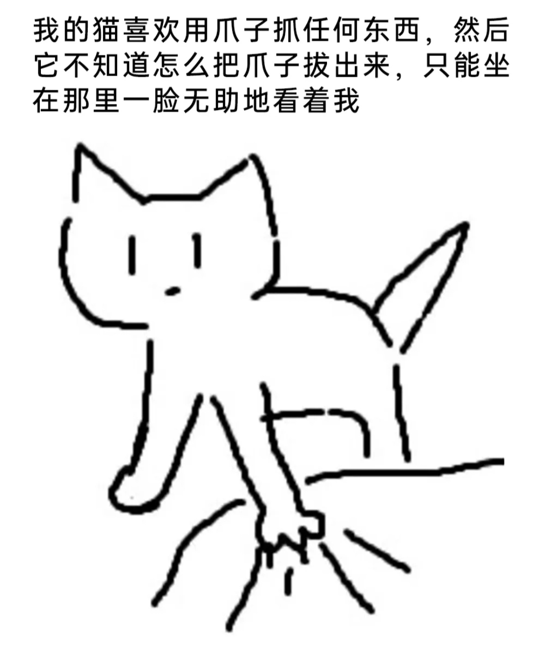 是这样的,我家猫甚至把电脑机箱当猫抓板,但是却经常抽不出爪子.