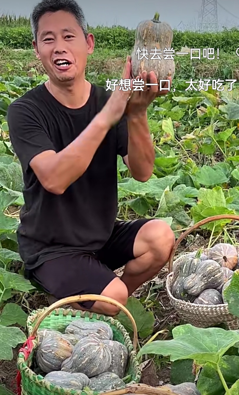 小南瓜又被摘回来了,这可是自然长熟的,口感粉糯,实在是不错