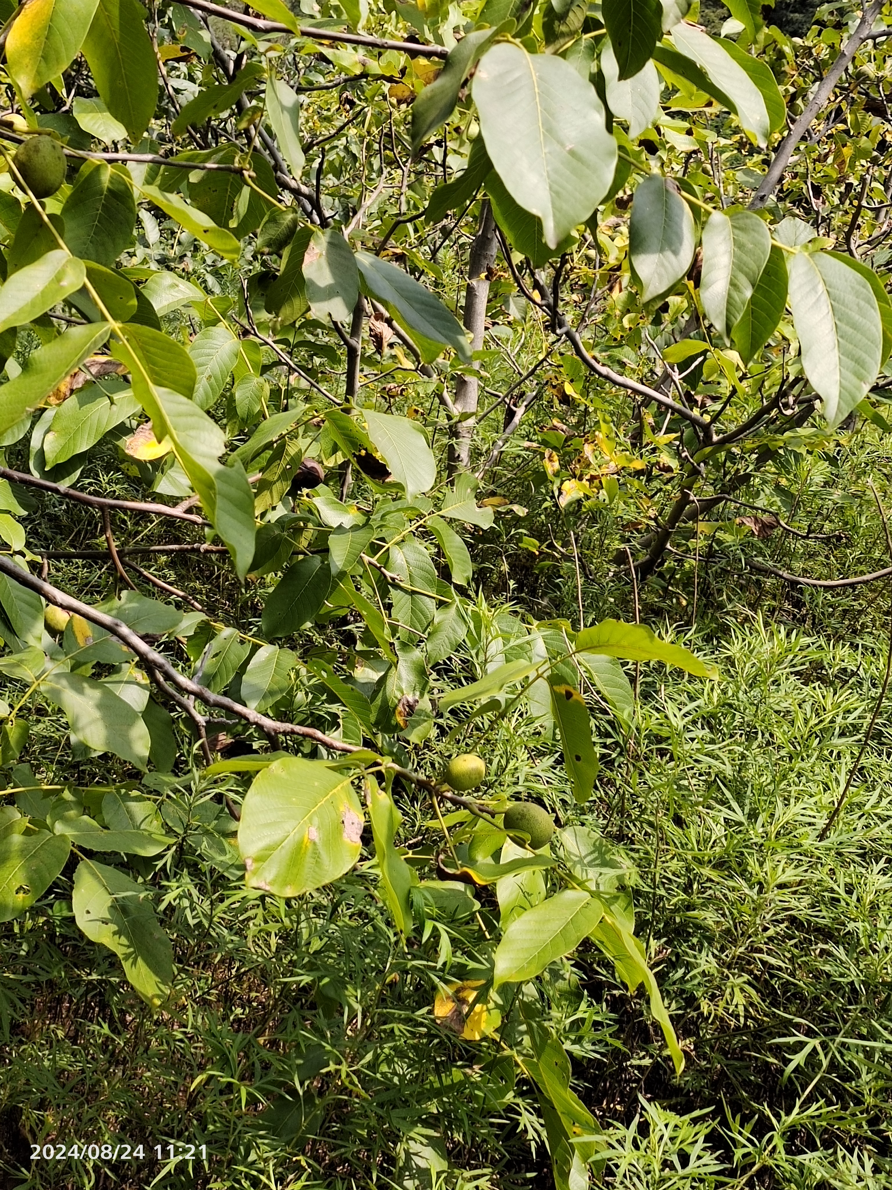 易县真是一座宝库 有山有水有历史  今年雨水