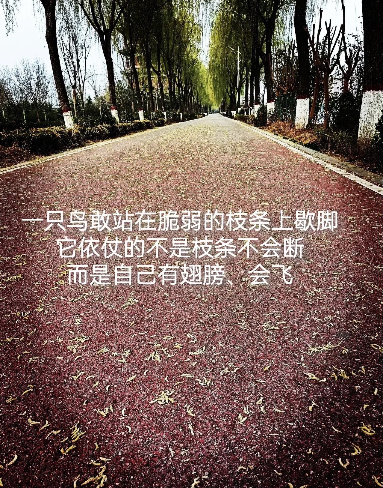 却不在受苦的图片大全不是想是做好眼前的事情图片大全脚踏实地的走