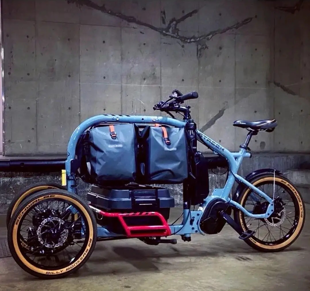 瞧瞧这高端倒骑三轮车 简直就是旅行神车啊!