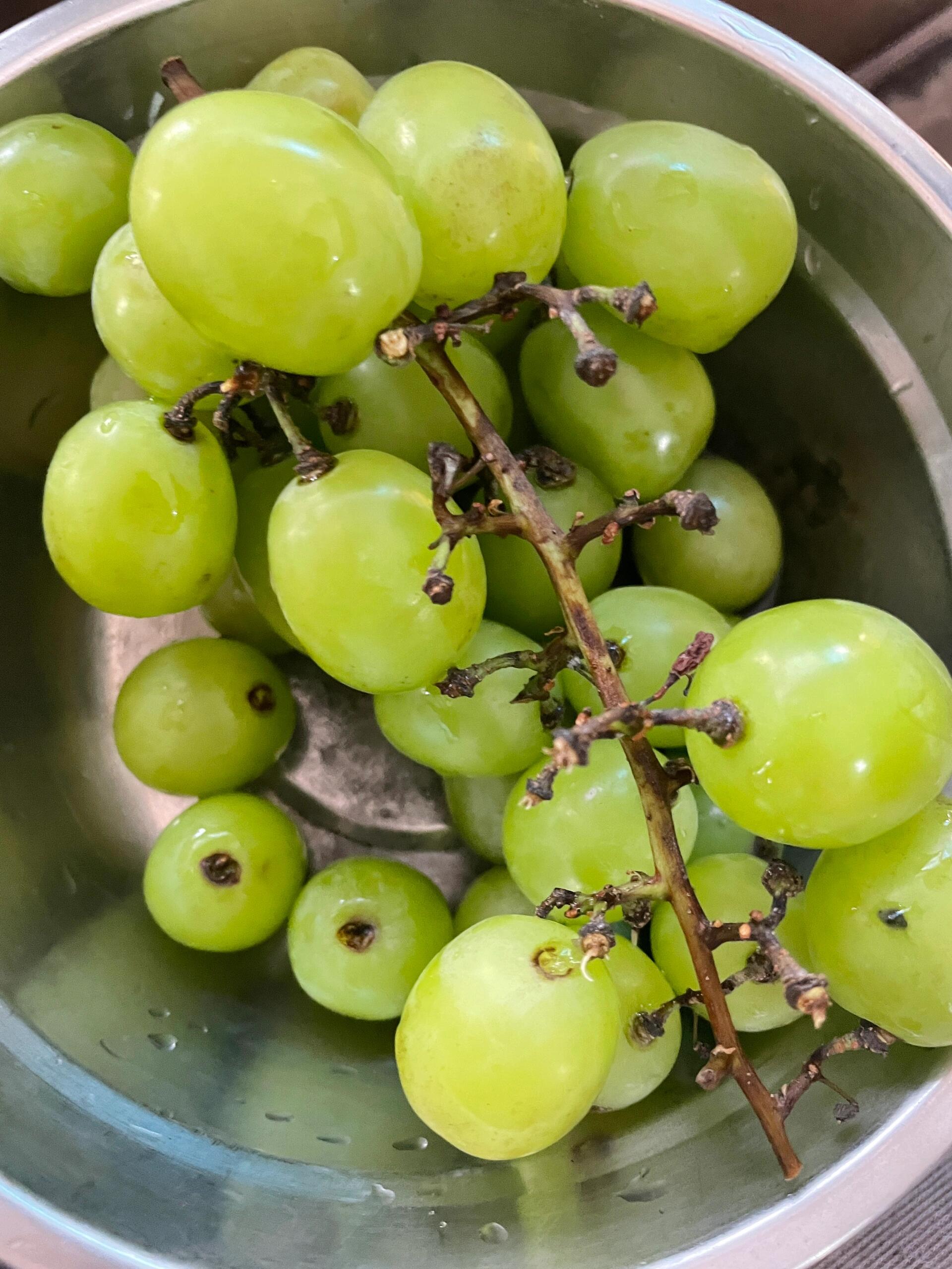 你们被这个葡萄坑过吗?