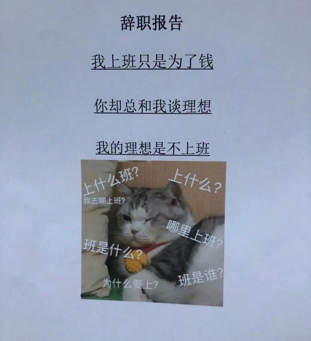 "这点钱很难帮你办事",00后大学生辞职信走红,让老板怀疑人生