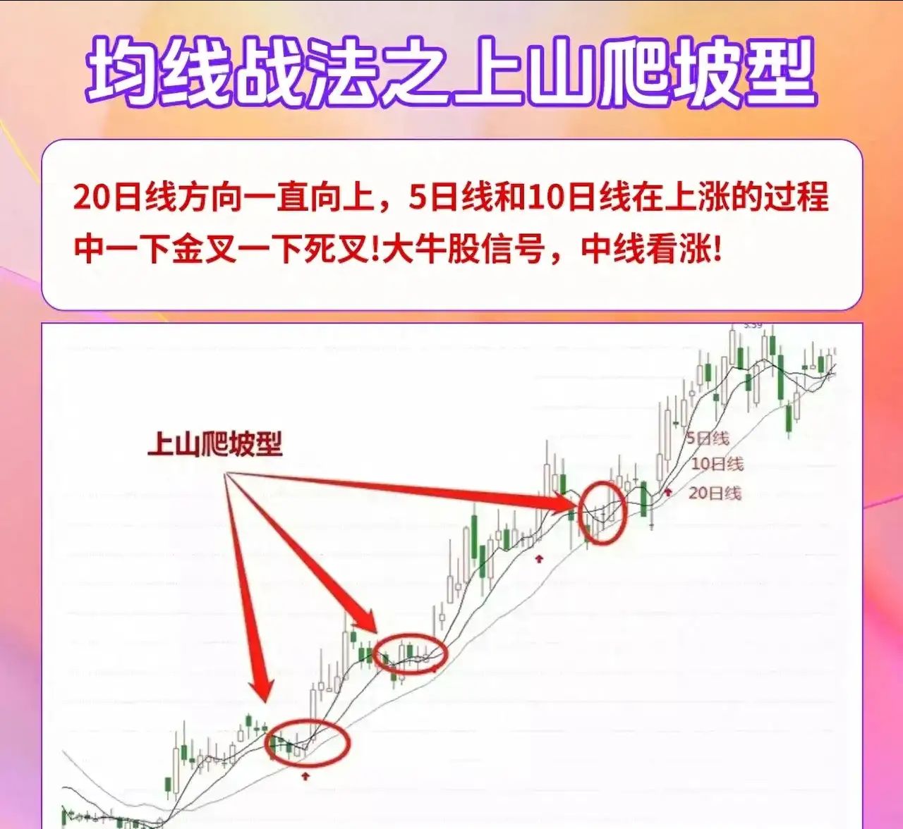 股票行情看什么指标比较准(股票行情看什么指标比较准确)
