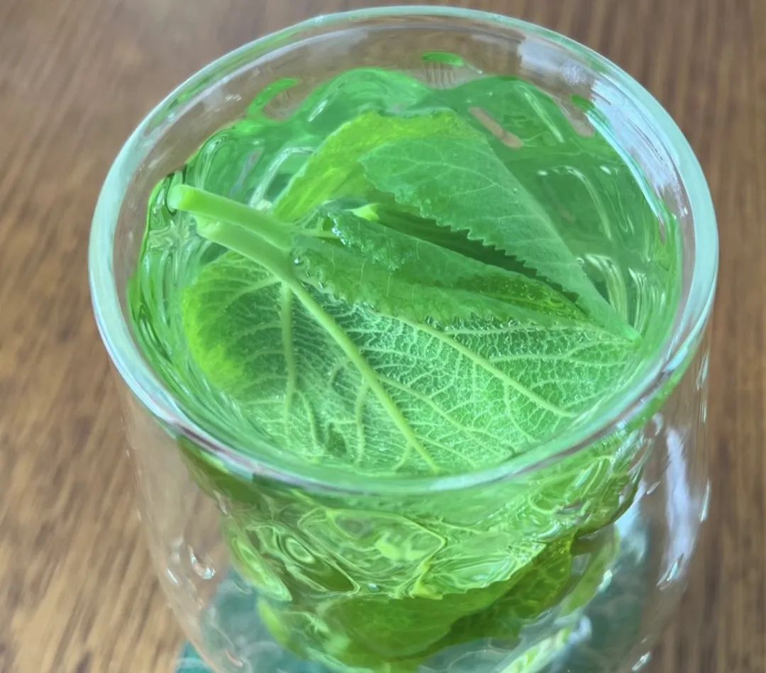 今天才知道,原来无花果叶煮水,价值这么高?有3个厉害作用!