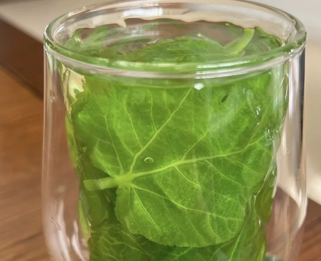 今天才知道,原来无花果叶煮水,价值这么高?有3个厉害作用!