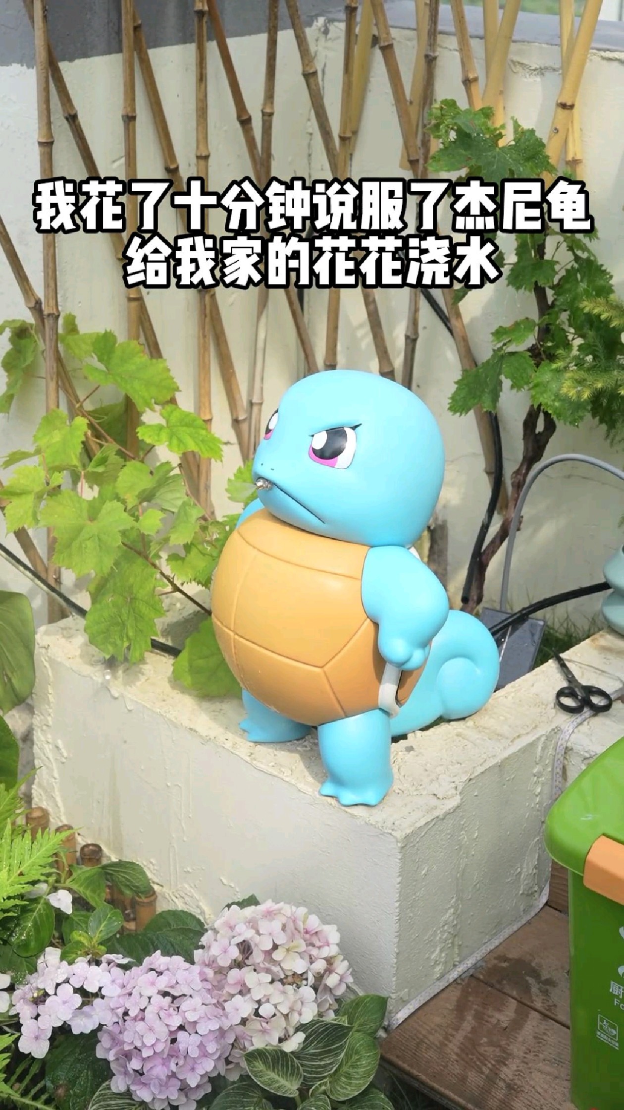 劝杰尼龟来给我浇花只需要十分钟哈哈哈