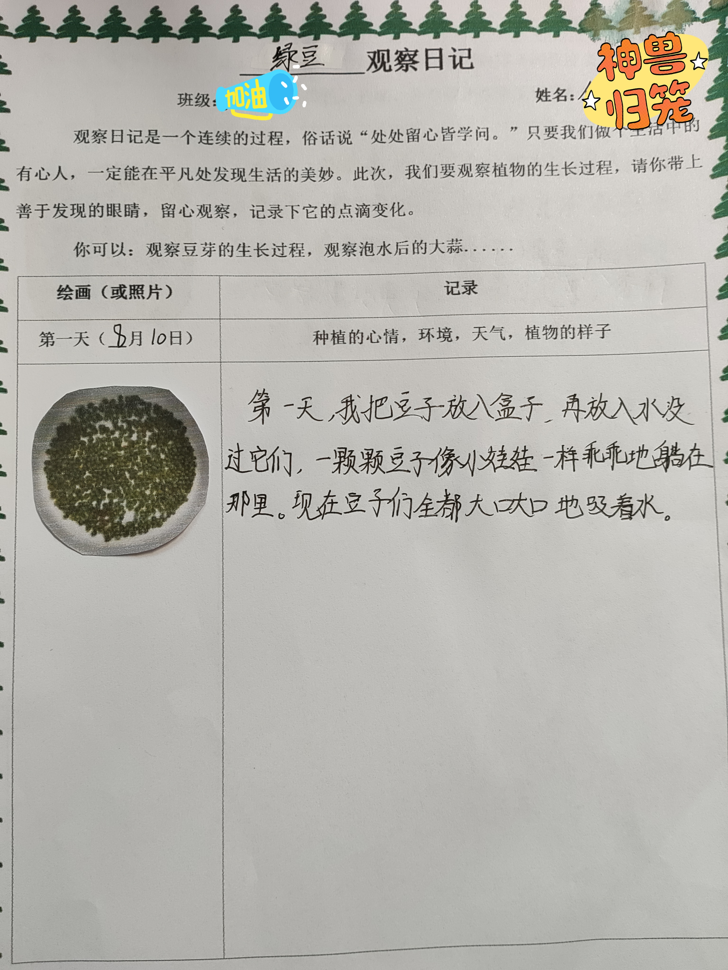 作业照片真实科学图片