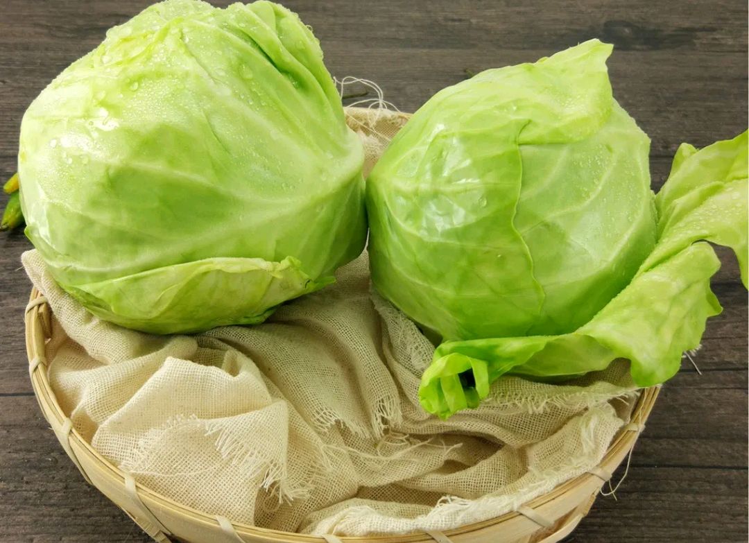 你可能不知道,包菜富含的维生素u被誉为"胃粘膜的守护者",它能够有效