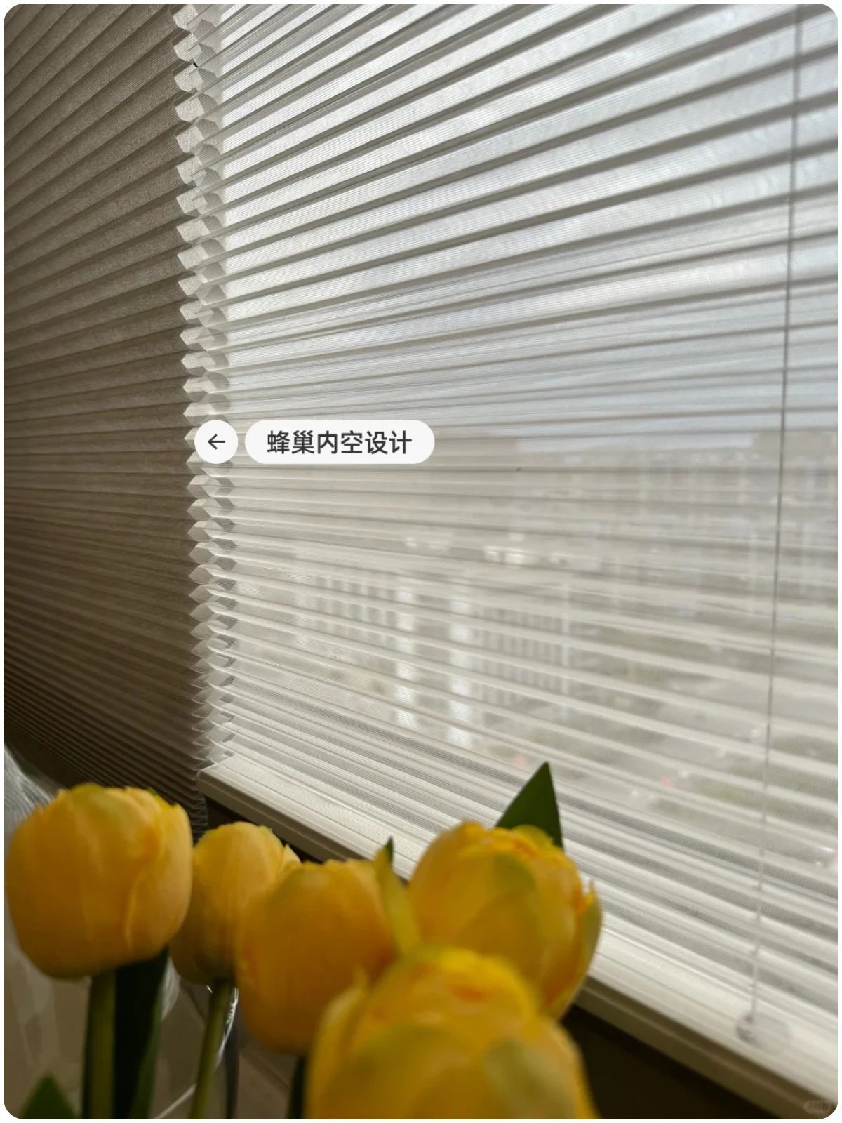 细条纹的蜂巢帘相比香格里拉帘会更窄一些且铝百叶的生硬感也不会