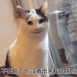 猫咪大型"社死"现场,猫:想要马上逃离地球!