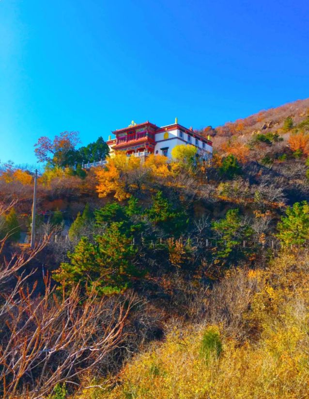 阜新宝力根寺图片