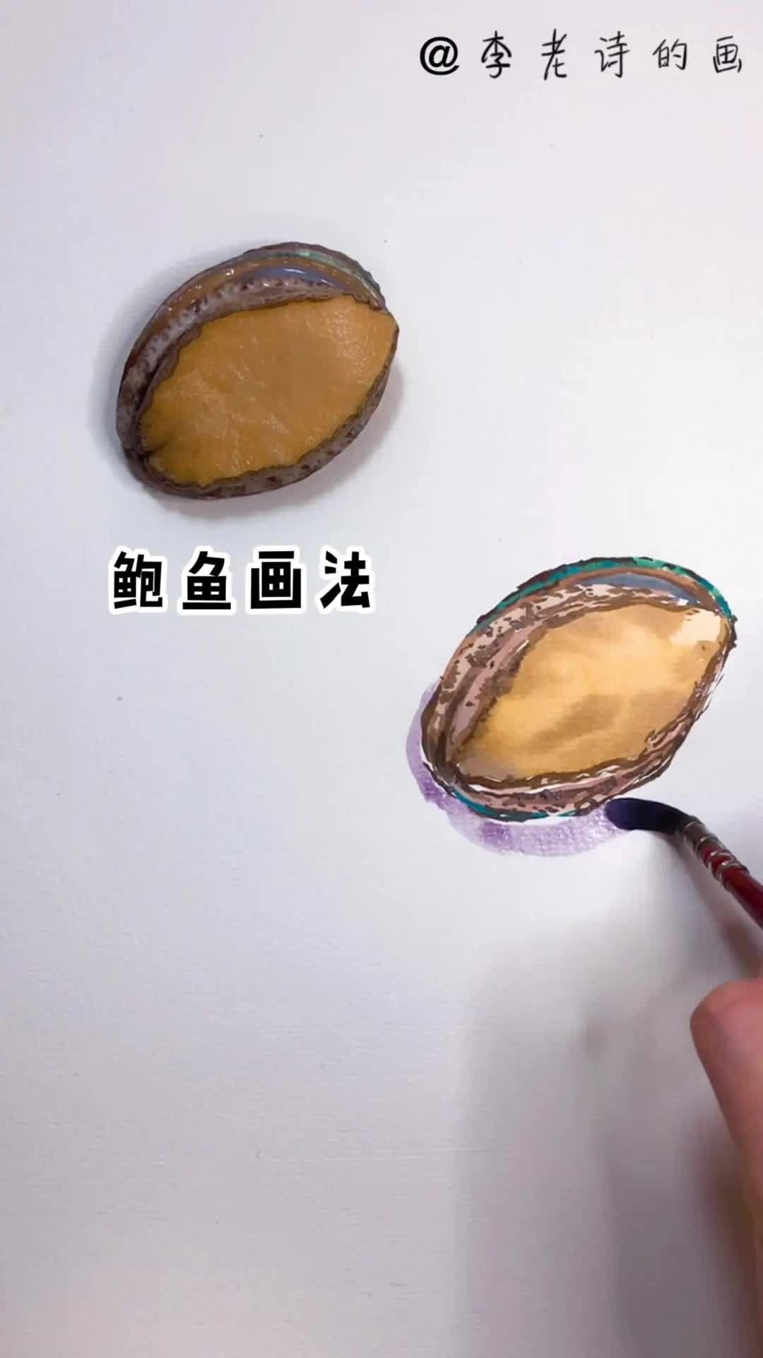 鲍鱼的画法图片