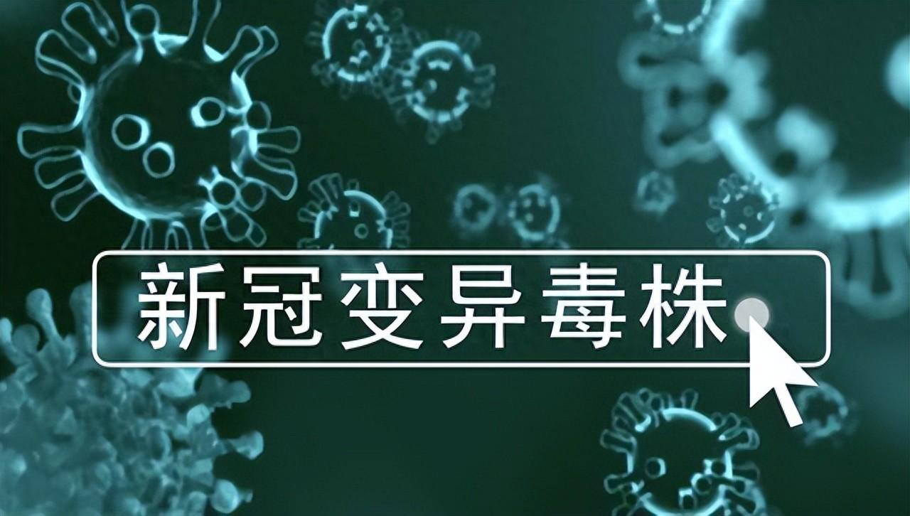  新冠疫情是哪一年出现的病毒毒株(新冠肺炎疫情是哪一年发生的)