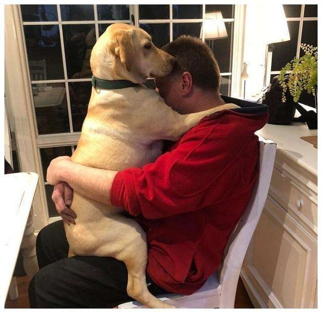 什么宠物最粘人