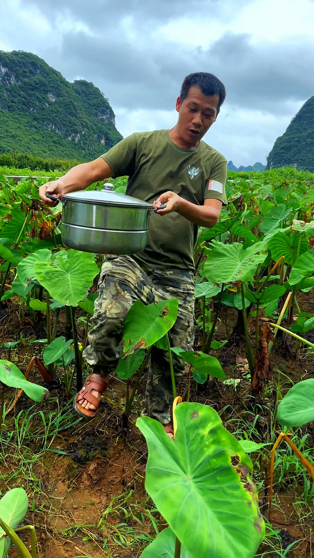 种在大山深处的小芋头真的太好吃了!