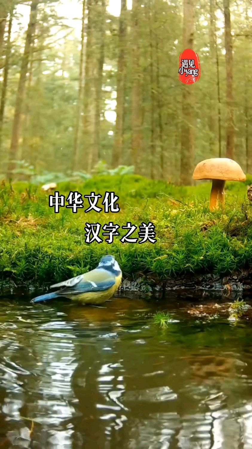 中华文化,汉字之美.