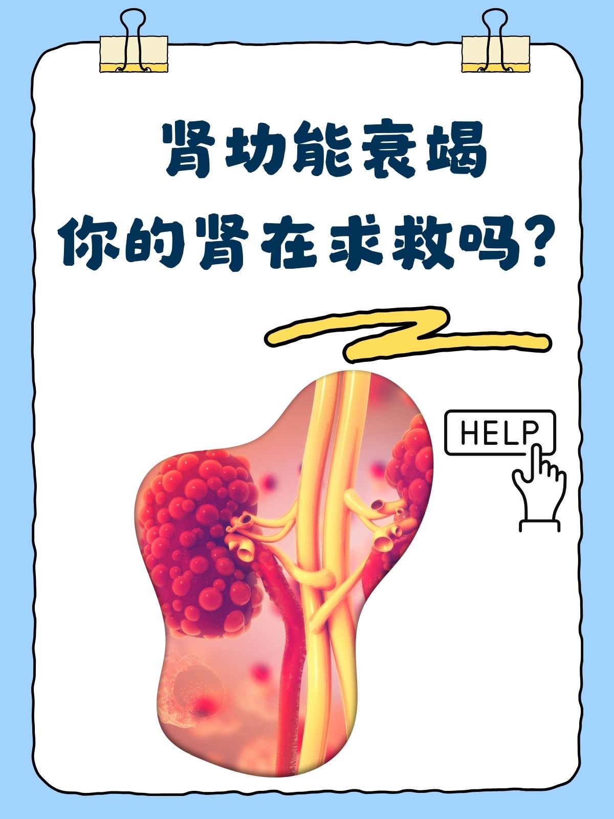 肾脏疾病的发病率呈上升趋势,肾功能衰竭也越来越受到人们的关注