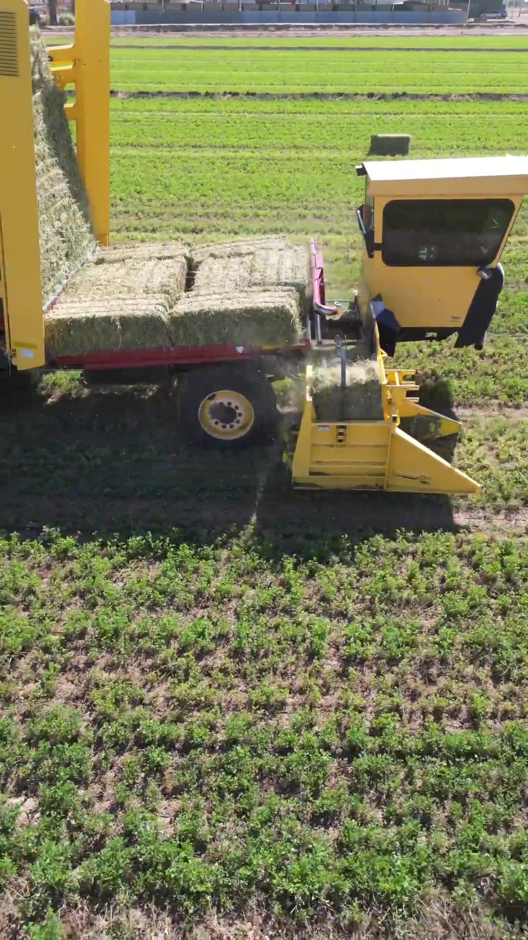 草捆自动捡拾装车机草捆装车机草捆提升机草捆装车机现农业机械农机