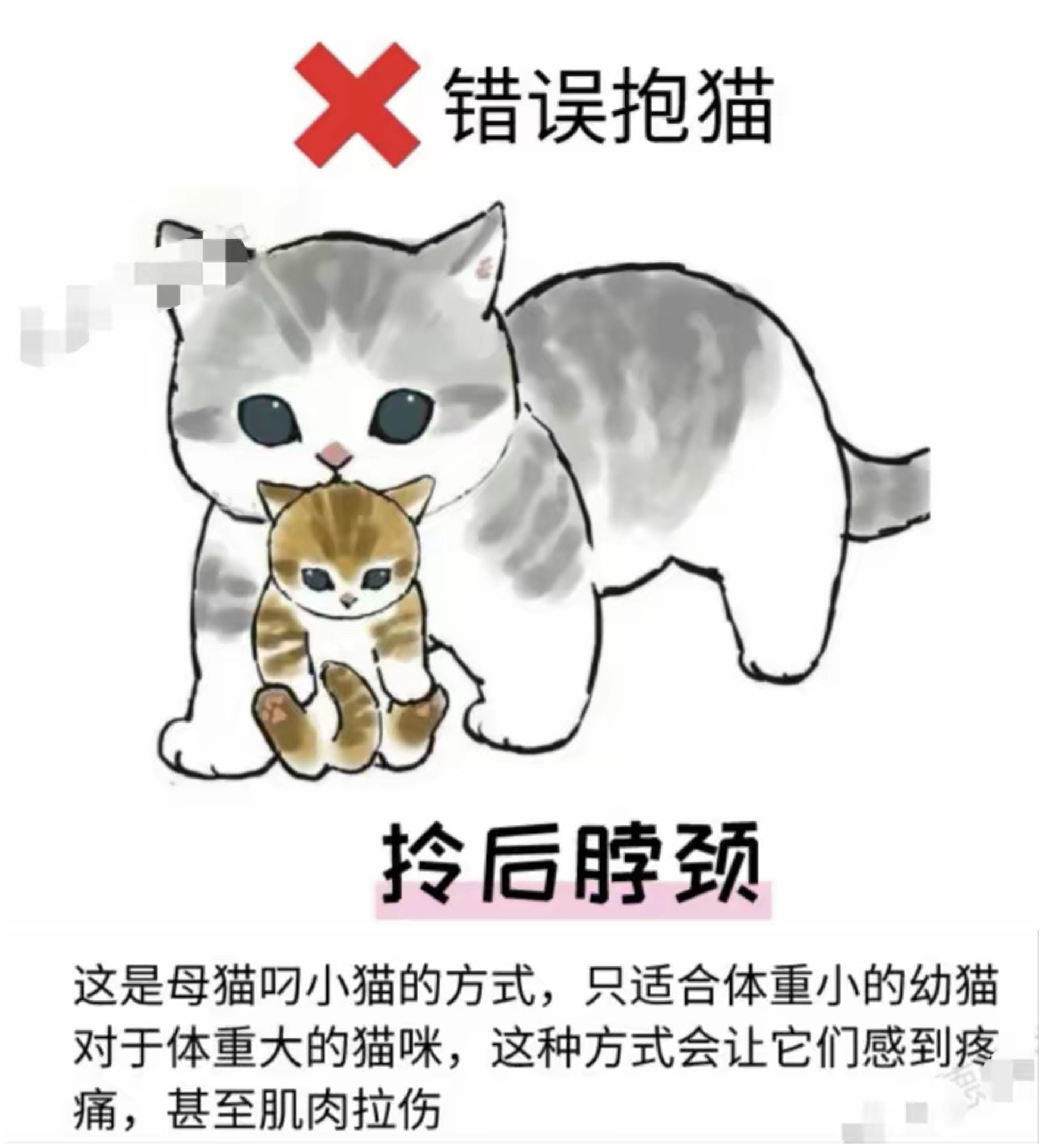 梦见被猫咪咬出血什么意思（梦见被猫咬出血了是什么意思） 梦见被猫咪咬出血什么意思（梦见被猫咬出血了是什么意思） 卜算大全