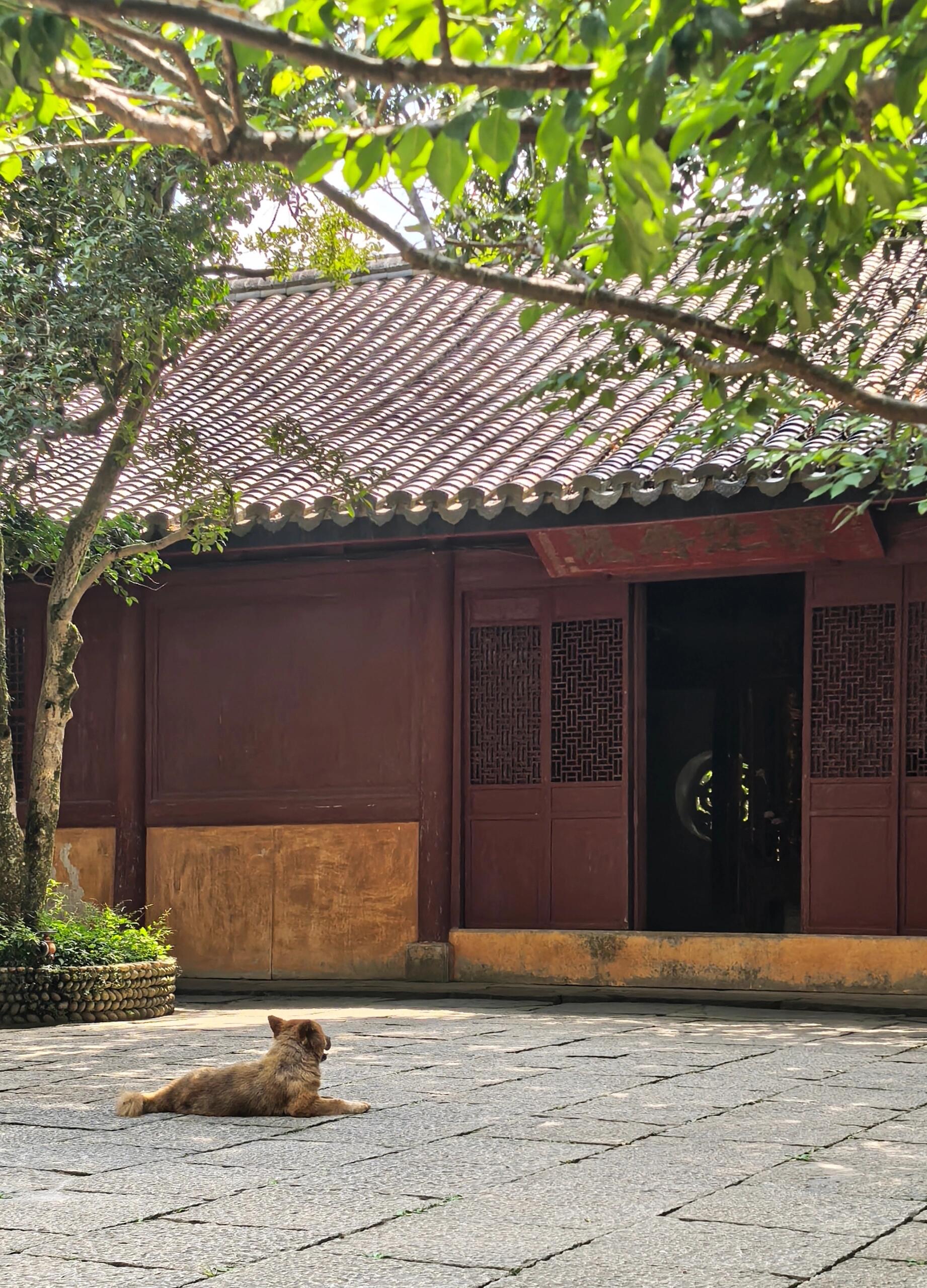 虽地图显示与国清寺相隔不远,实则路途颇费脚力,从大路岔口至寺内