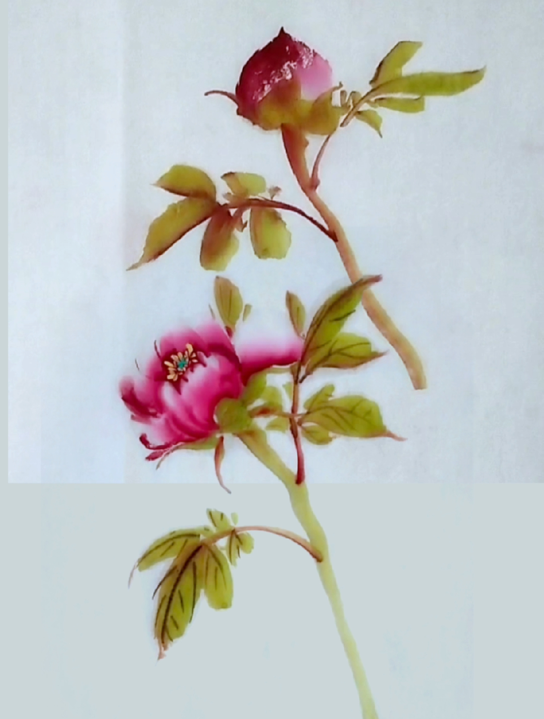 牡丹花苞画法 手绘国画作品