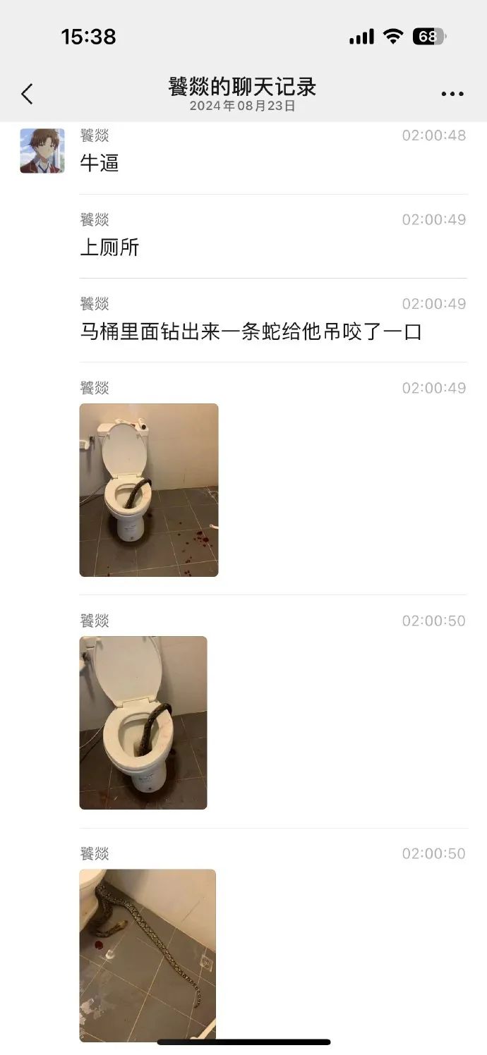 泰国“马桶有蛇”事件，屁股被咬流血（图）