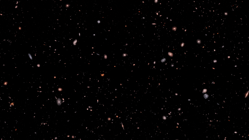 800_450gif 动态图 动图