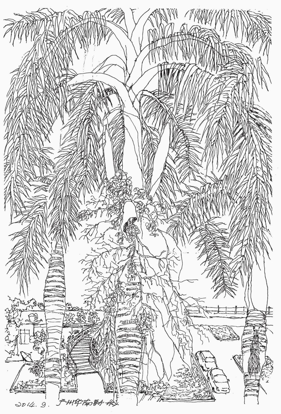 艺术专访|李远泽:在钢笔画中寻找时间的纹理