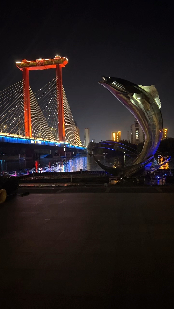 晚上九点钟的宿迁一号大桥夜景!