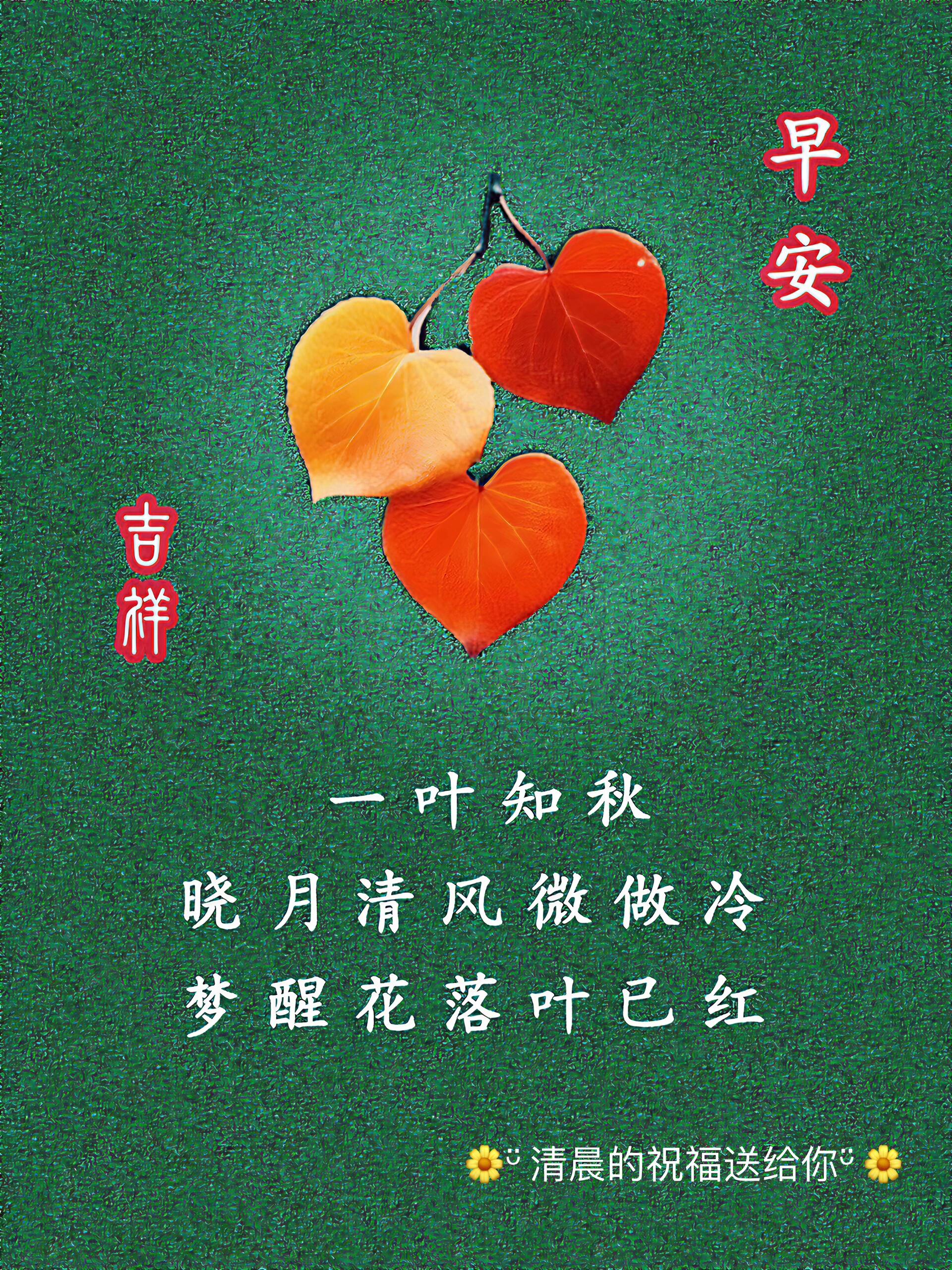 《浅秋早安,静享美好》