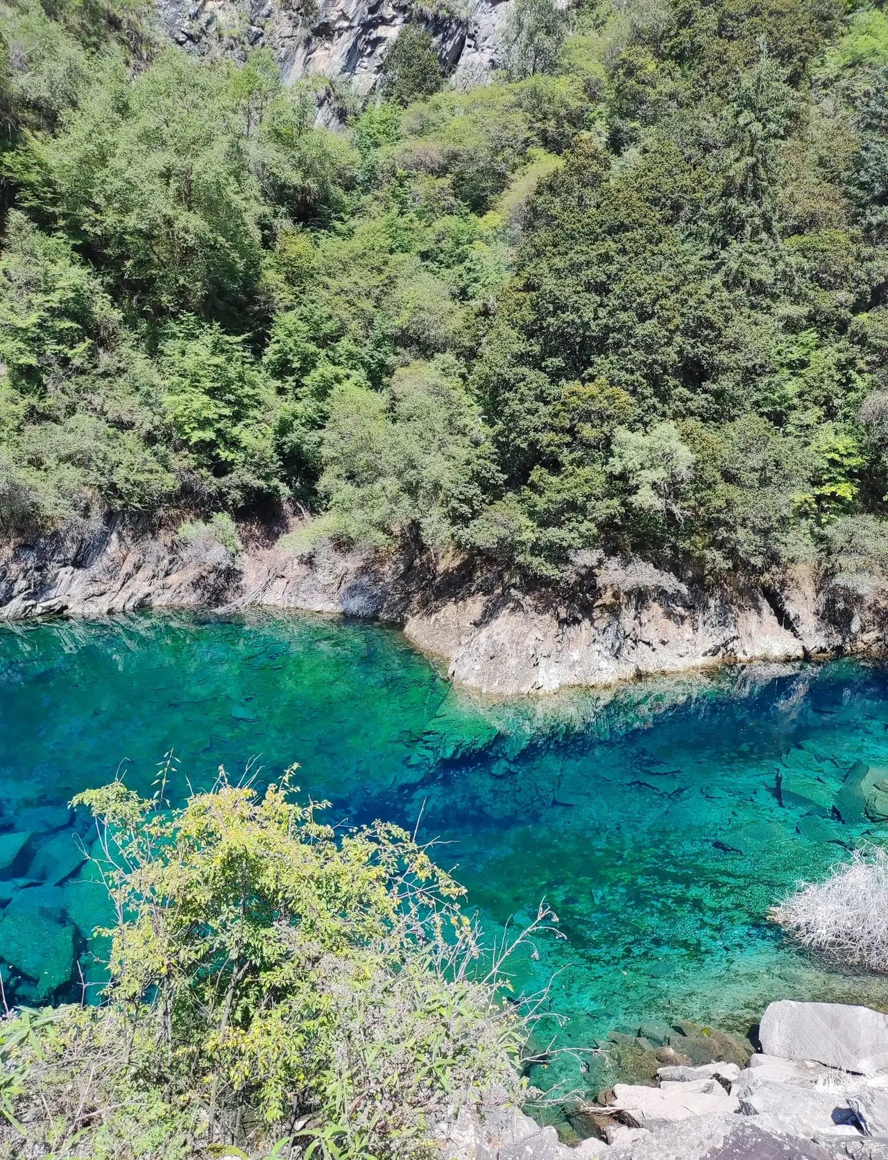 茂县松坪沟的水清澈见底,幽蓝的颜色很是迷人,这里青山绿水,是夏季