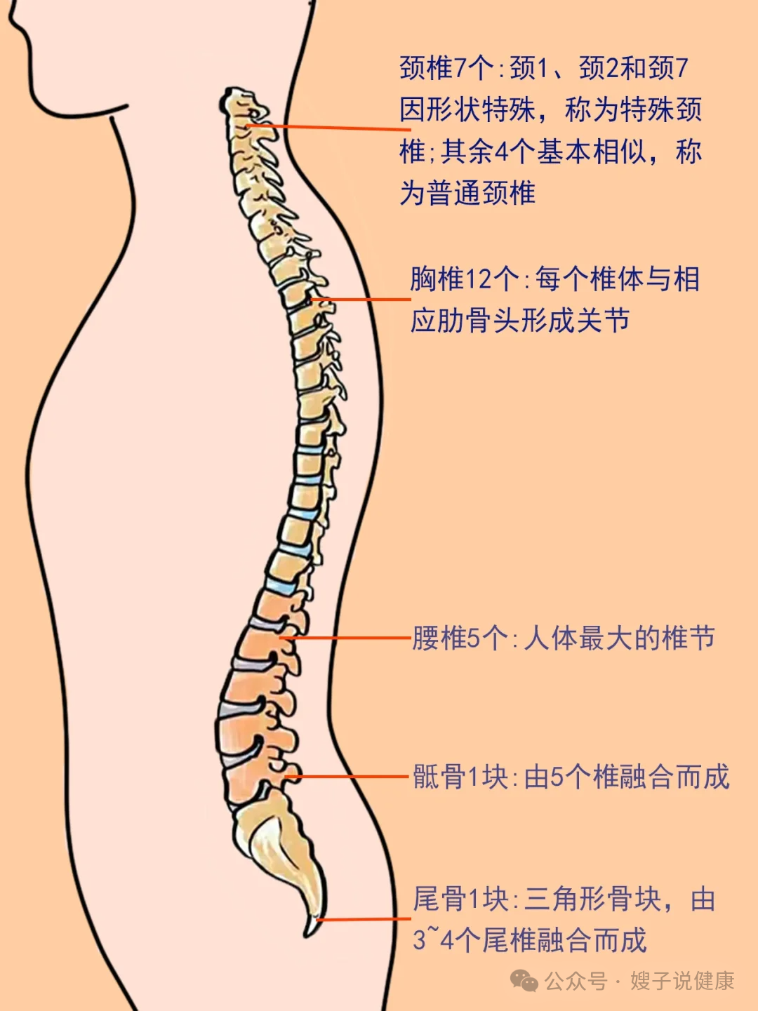 别再靠按摩来放松颈椎疼痛了!