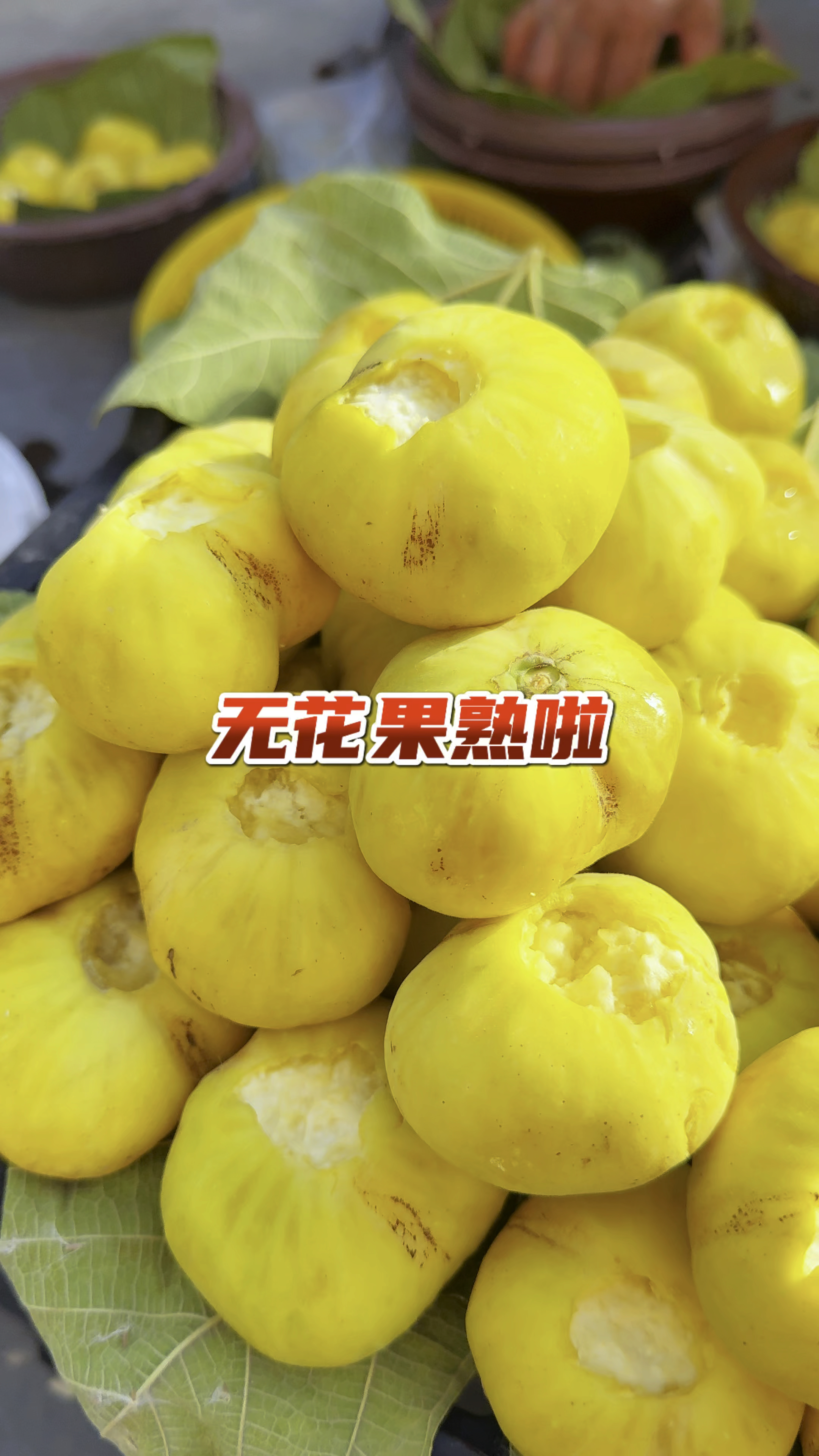 喀什最后一茬无花果啦,赶紧炫几个