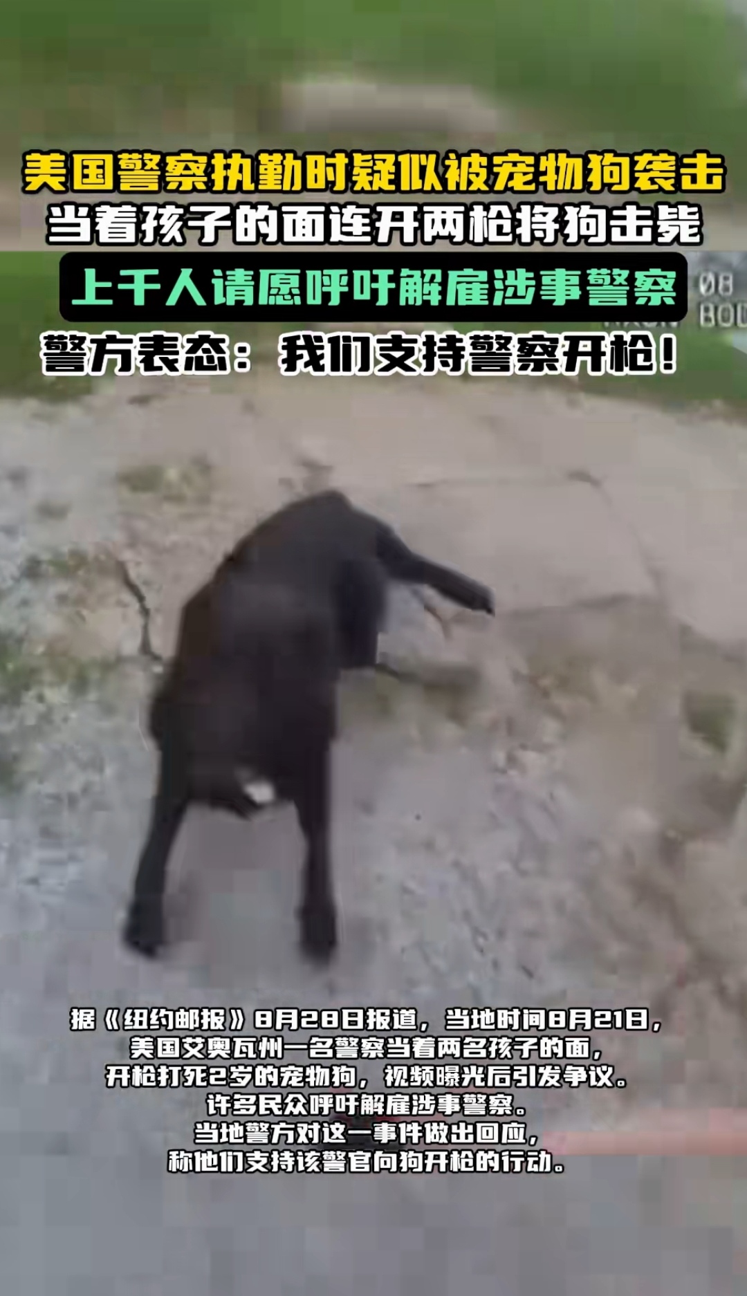 美国警察执勤时疑似被宠物狗袭击 当着孩子的面连开两枪将狗击毙 上
