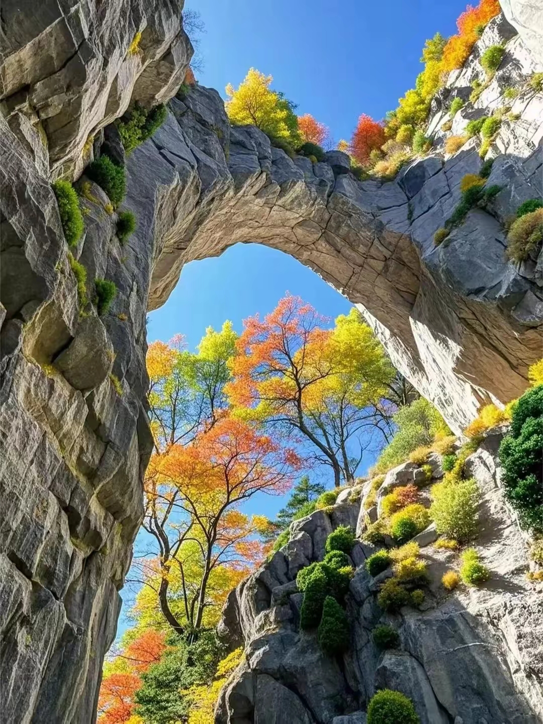 满桌佳肴,你得有好牙;腰缠万贯,你得有命花