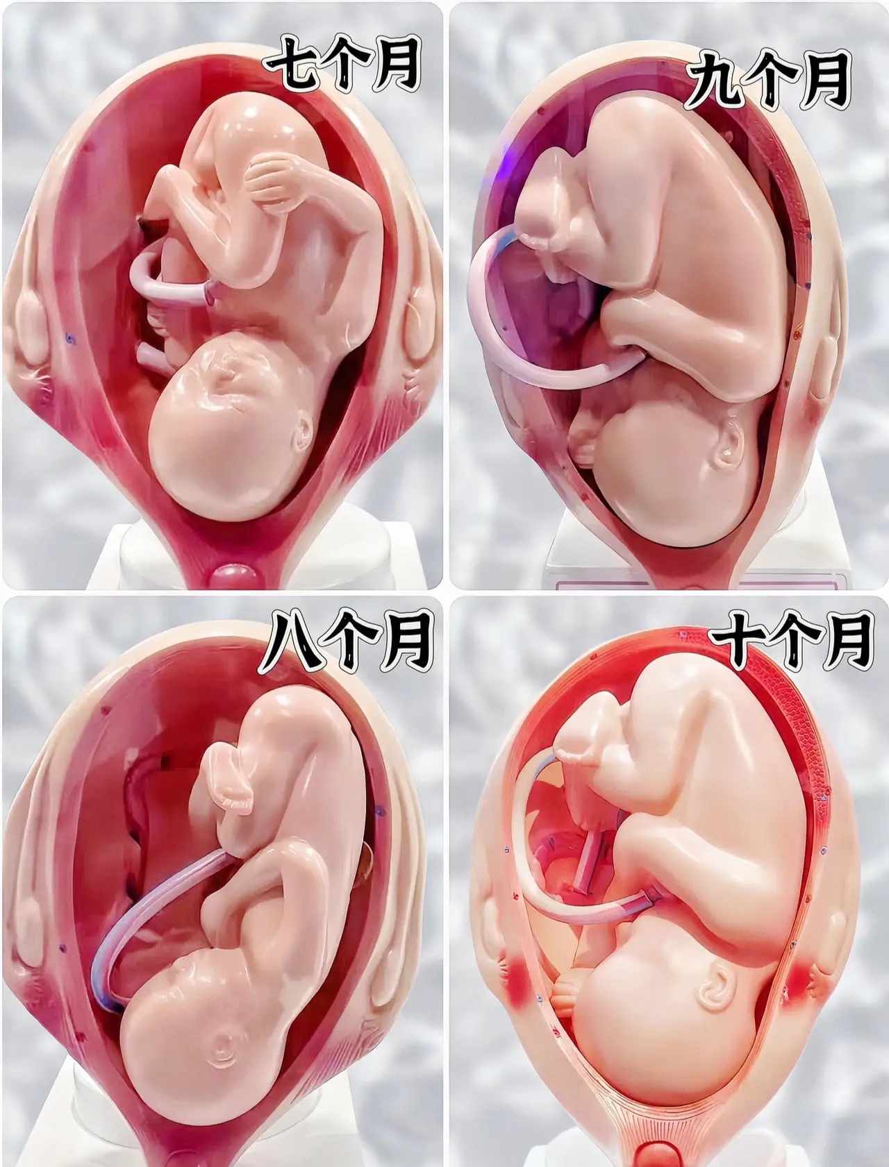 女人怀孕10个月的图片图片