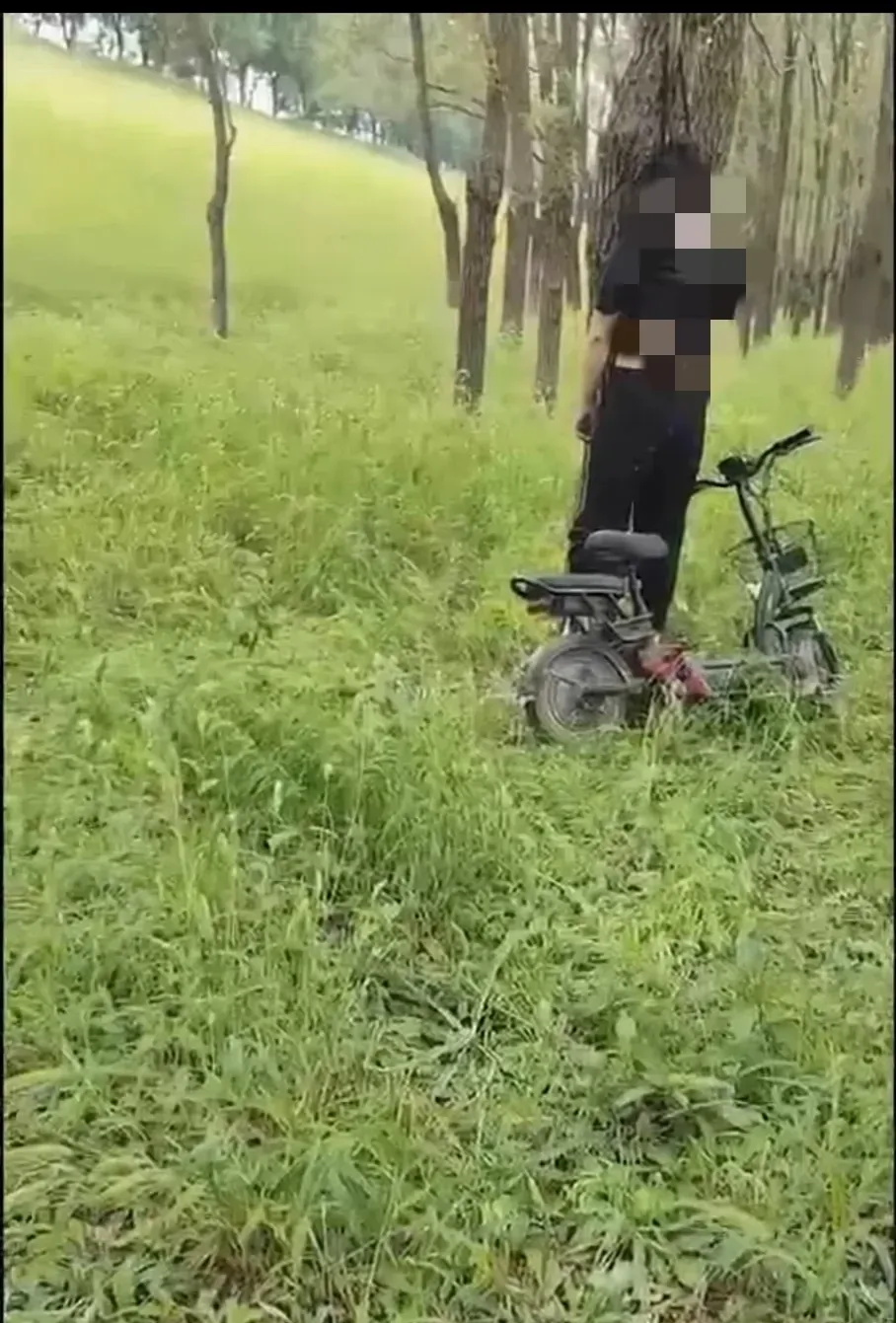 潇湘晨报消息,据网友28日了解,河南濮阳市台前县icon马楼镇icon一树林