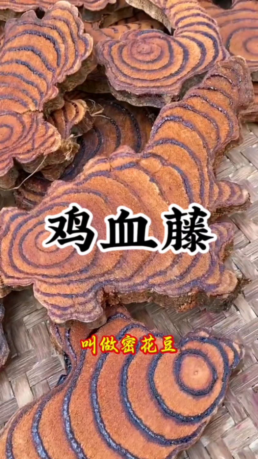 对女性朋友特别友好鸡血藤学名又叫"密花豆"