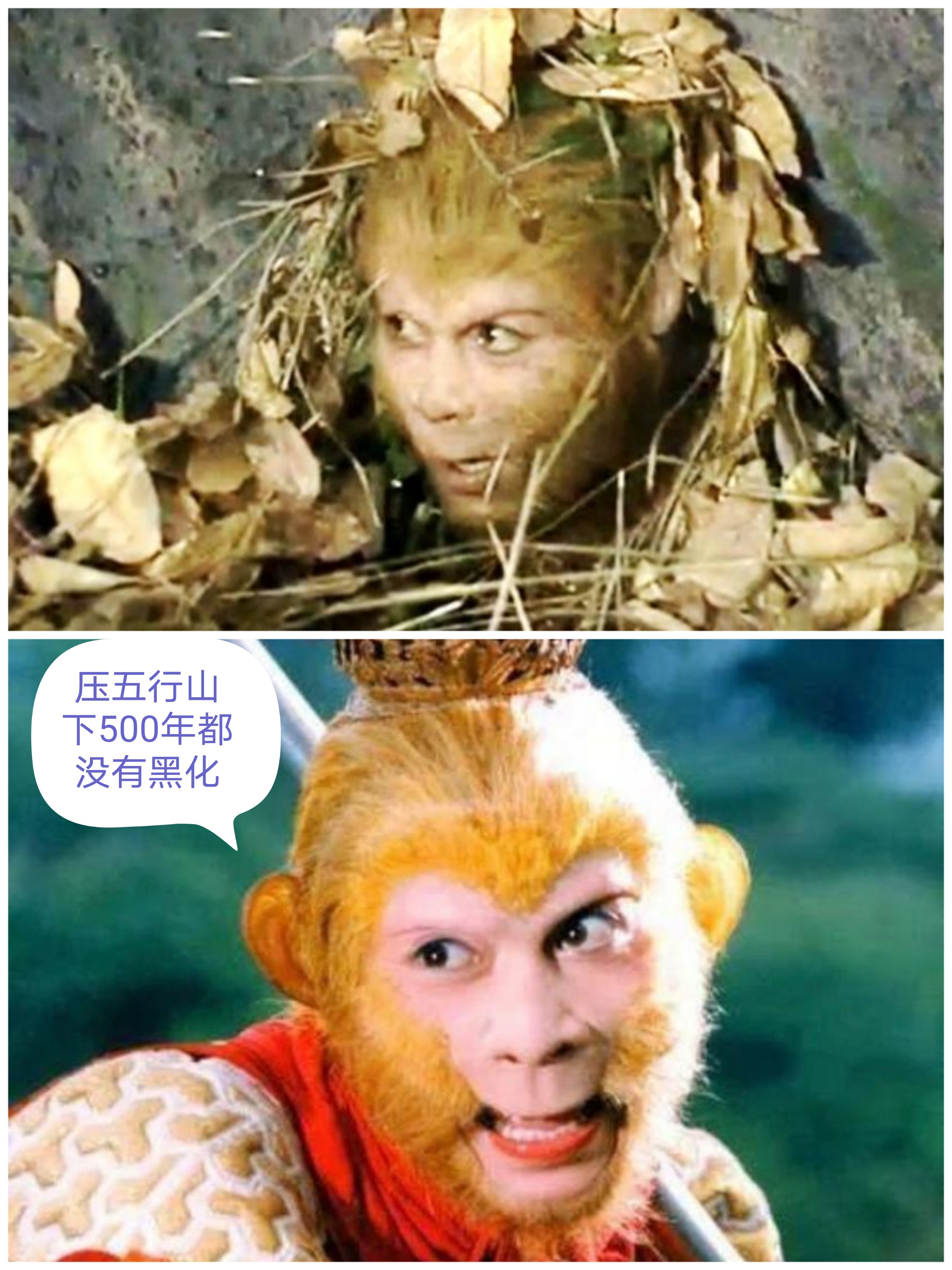 孙悟空# 真正的男主人设天花板,谁不爱这样的孙悟空
