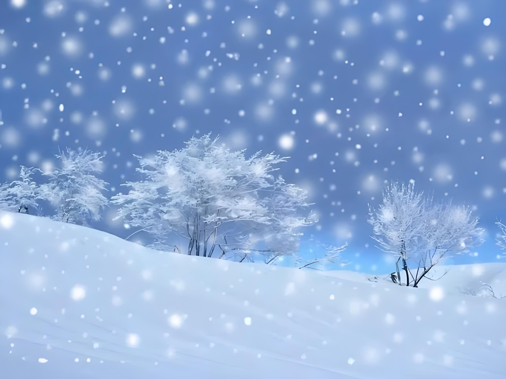 [微风][微风] 冬雪和春雪,纷纷扬扬,飘落一身洁白;是雪花仙子怜惜我
